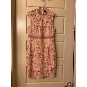 Bardot Lace Paris Dress